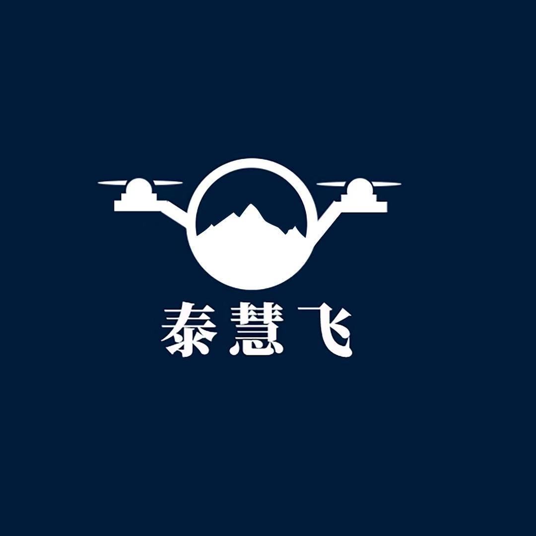 山东泰慧飞