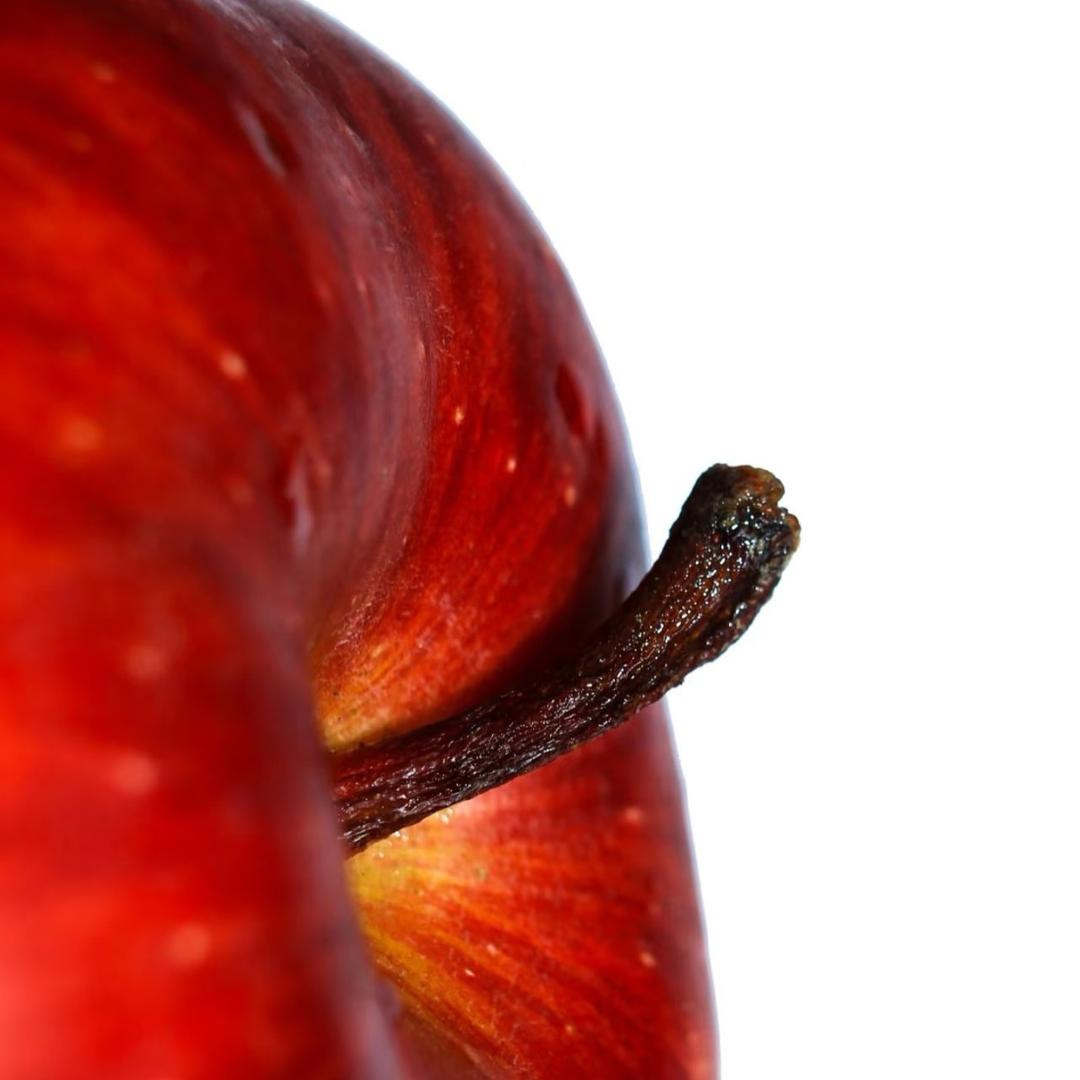 芝麻大香蕉的百货商店