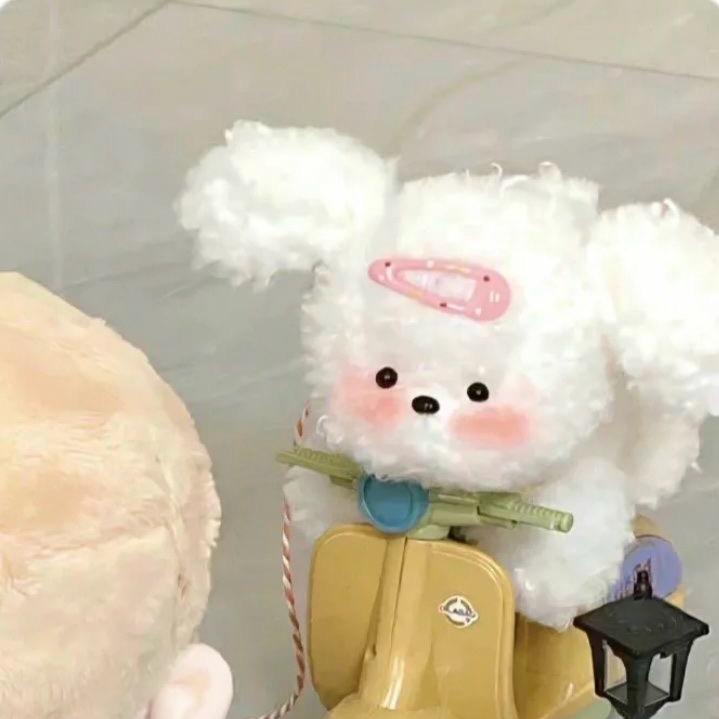 小懒不太懒