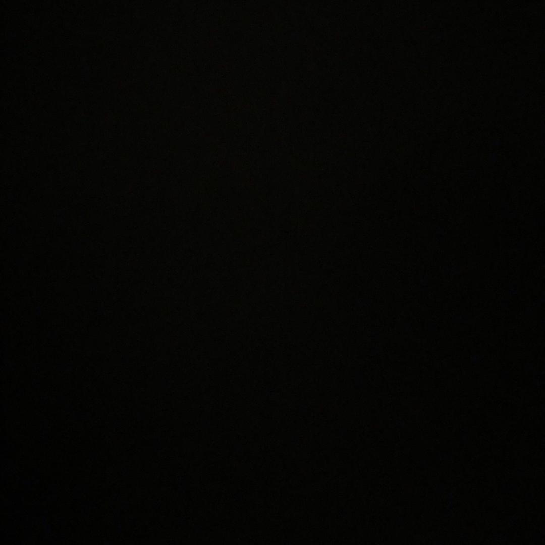 19820312759