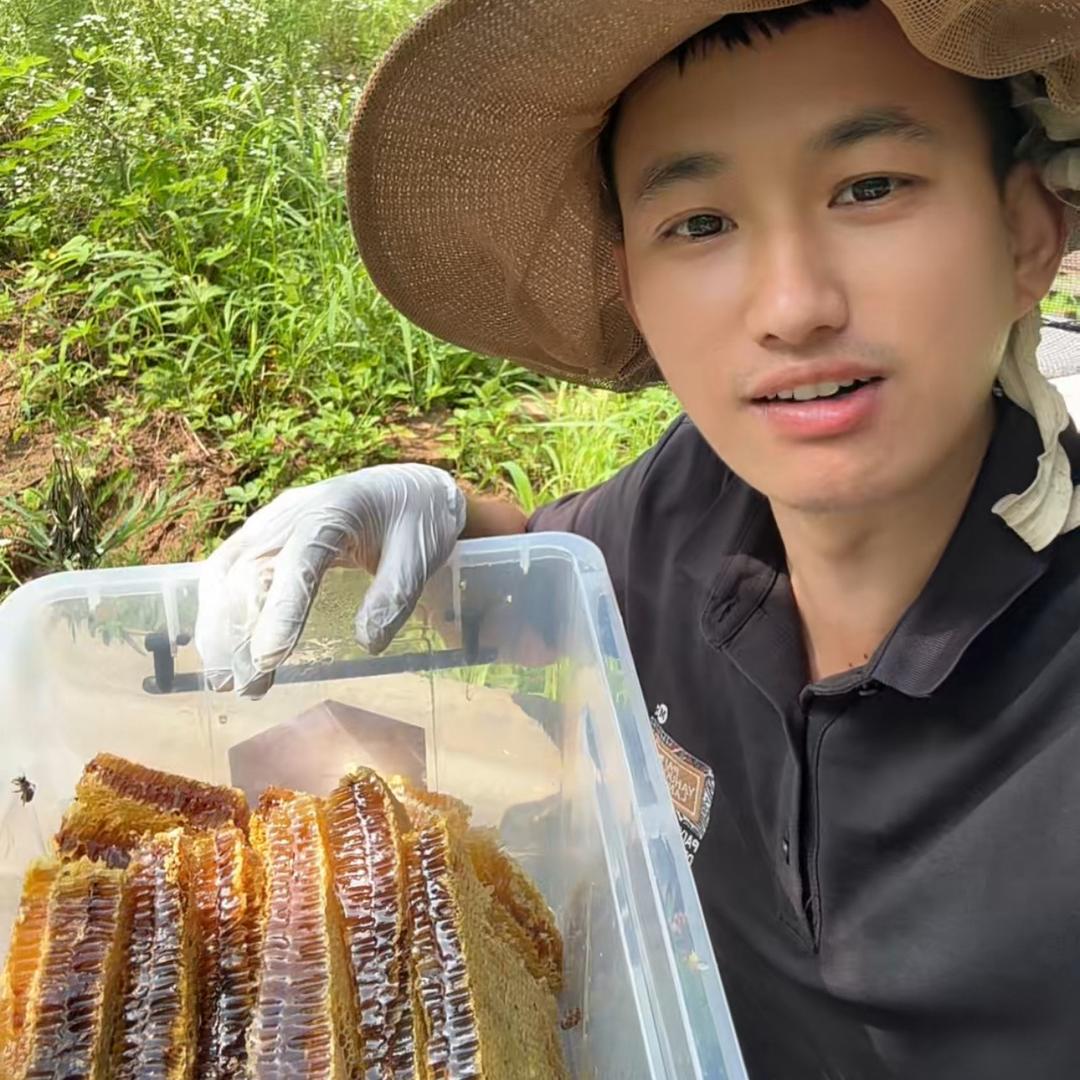 阿福秦岭土蜂蜜