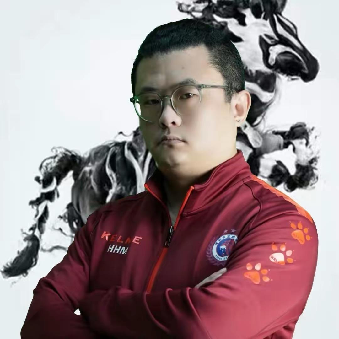 老斑马安西