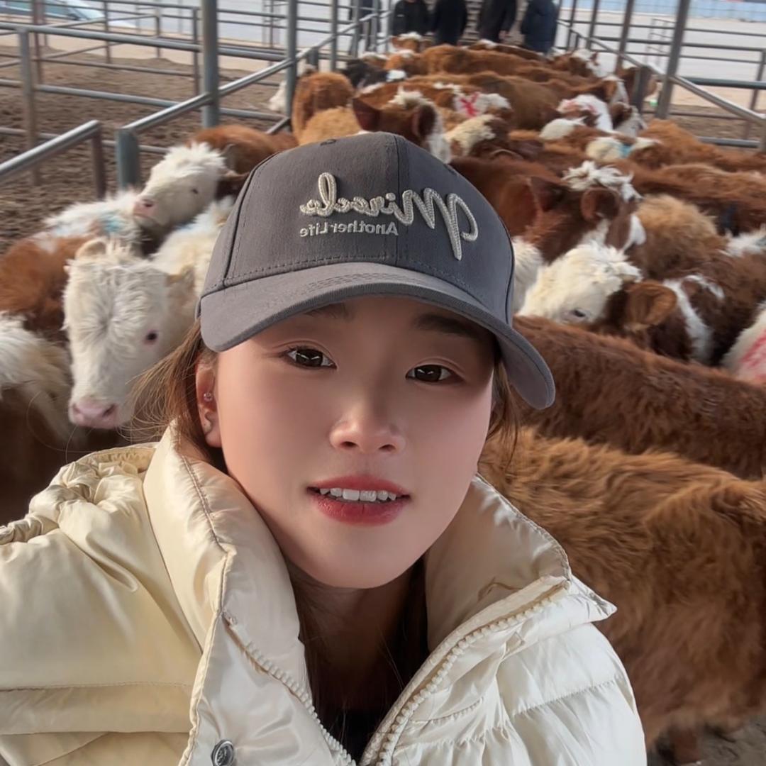 娇气牛《母牛专供》