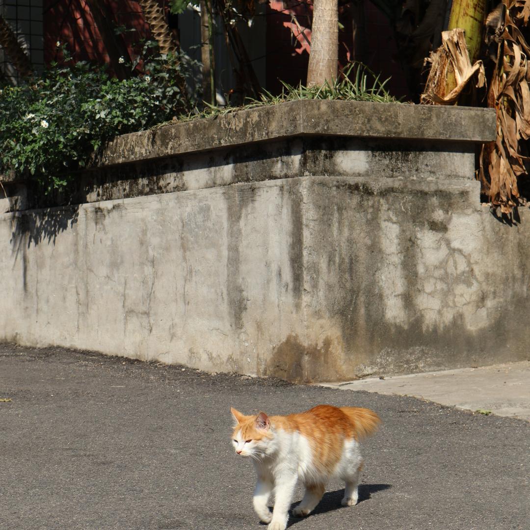 熙熙网不卡拆卡