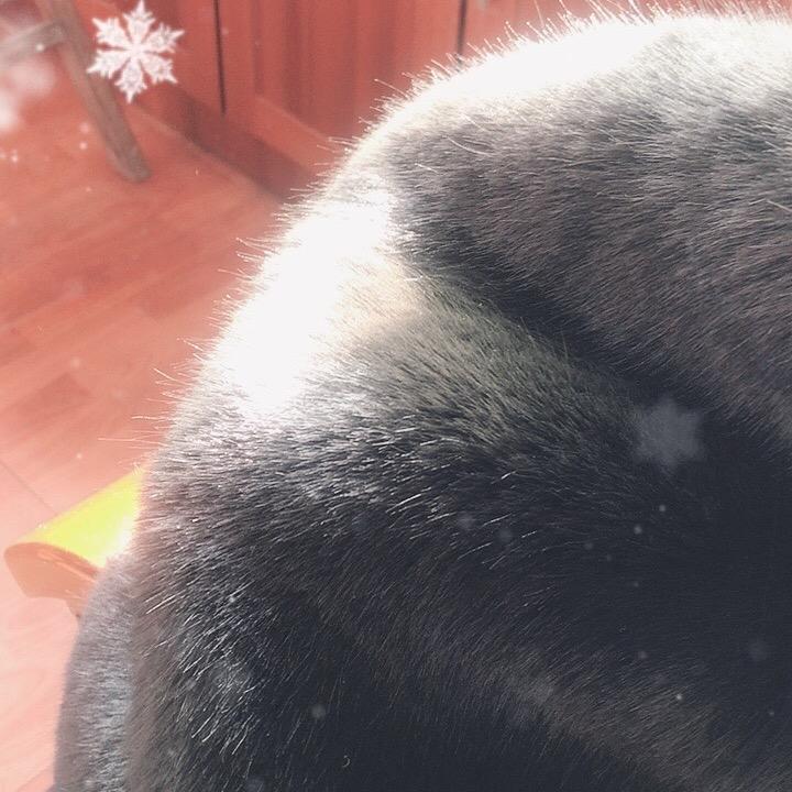 静水流深songjiang