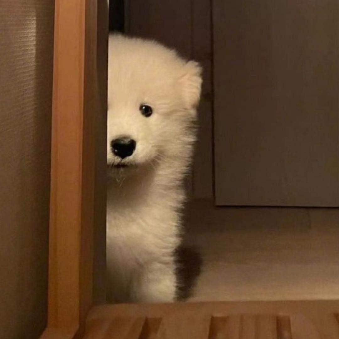 WoW～