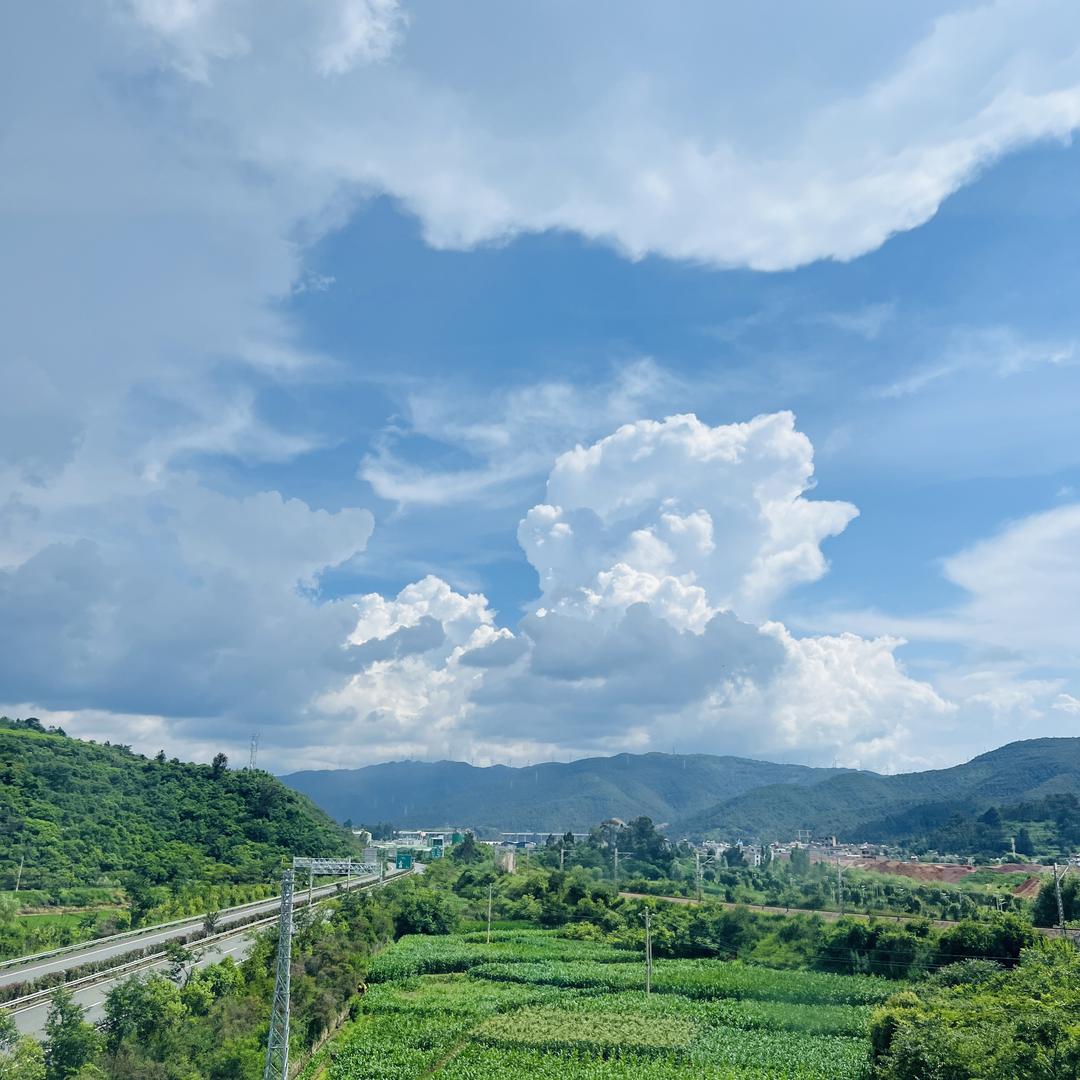 情非得已