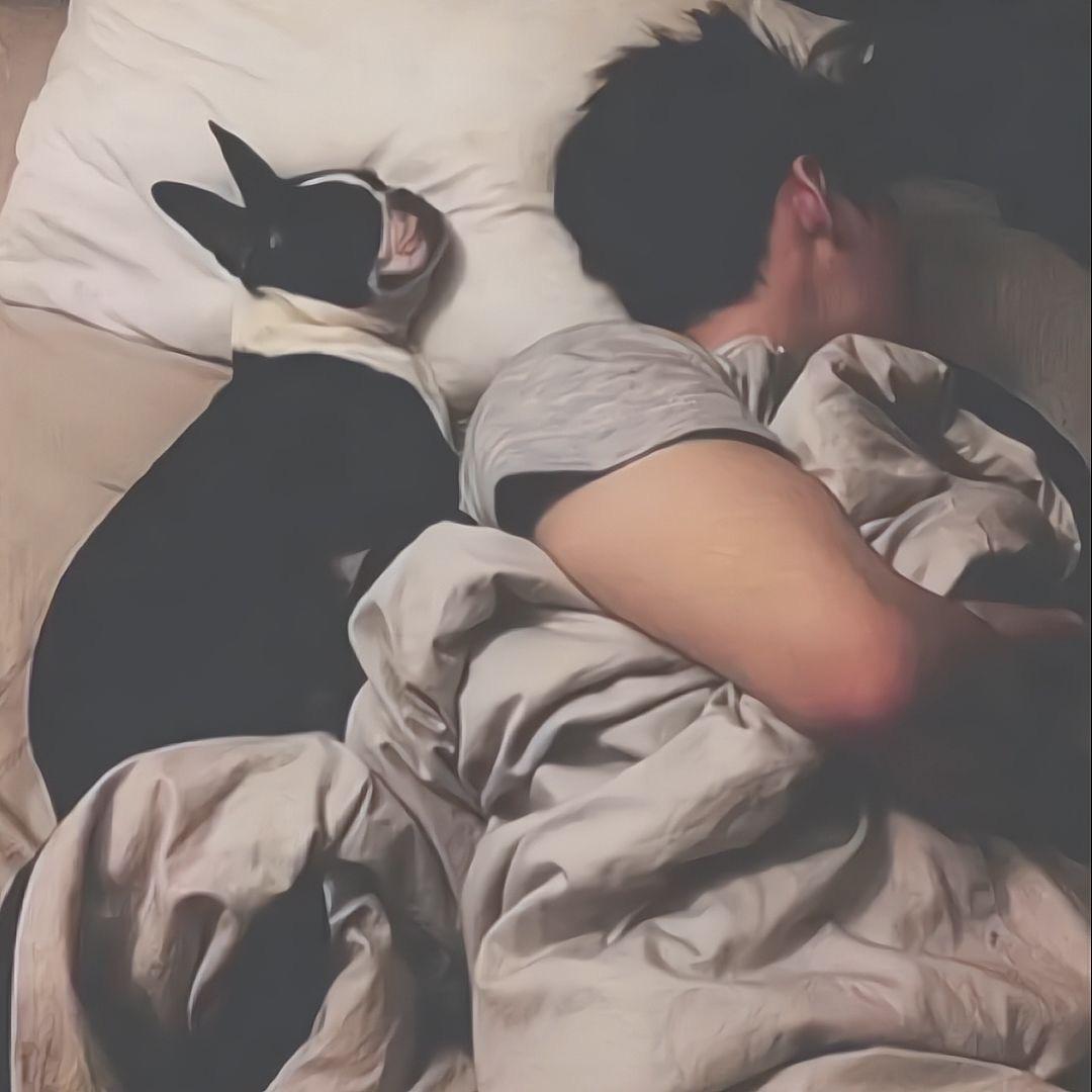 在某个时刻🧚🏻