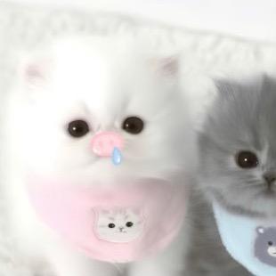小喵椰布丁˶• ༝ •˶