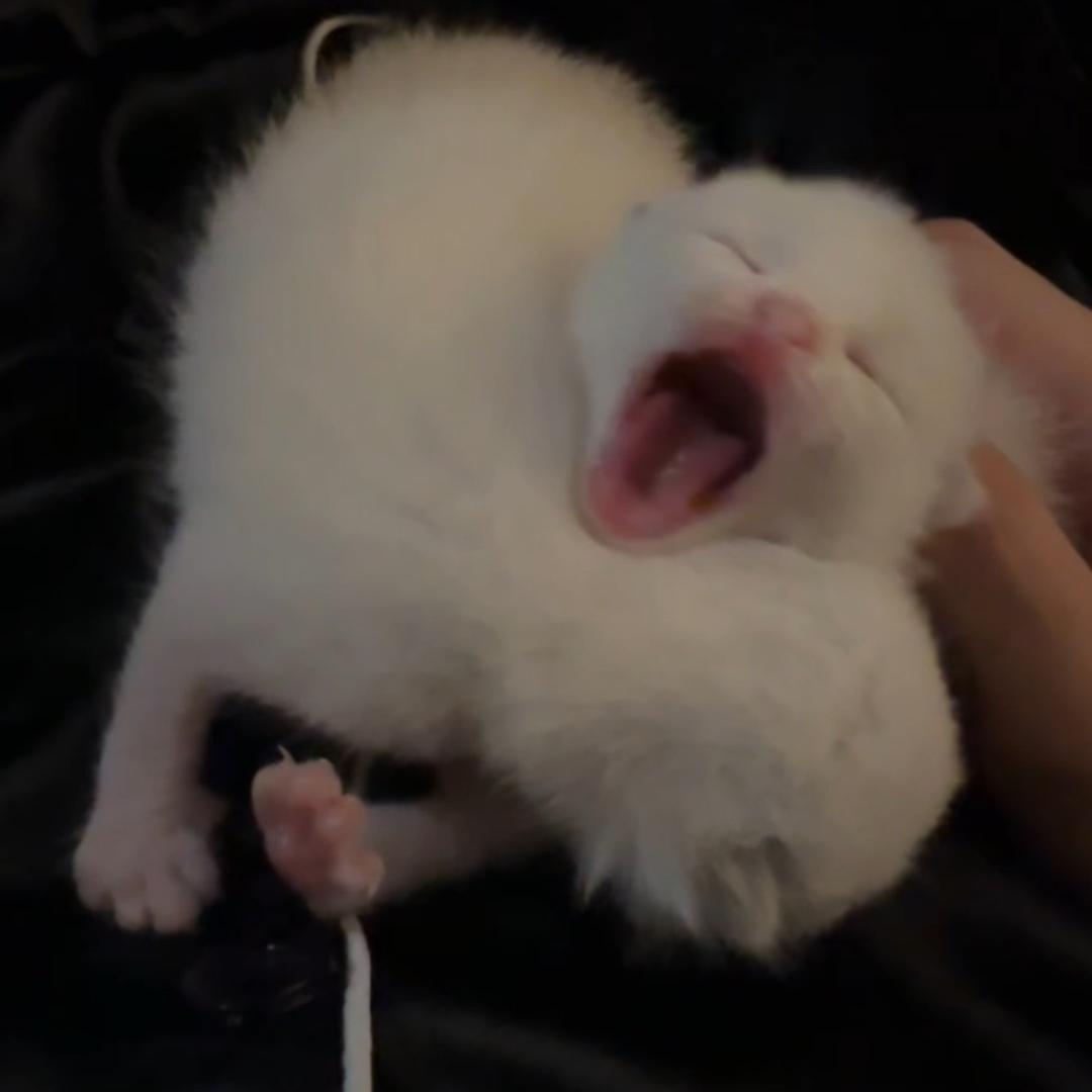 F̶ɪ̶ɴ̶ᴀ̶ʟ̶ʟ̶ʏ̶.