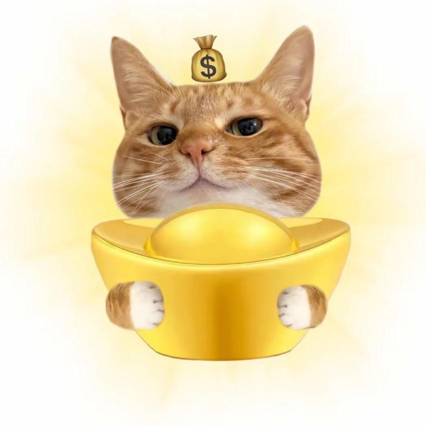 多金猫好物甄选