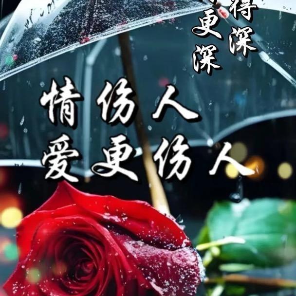阳光雨后