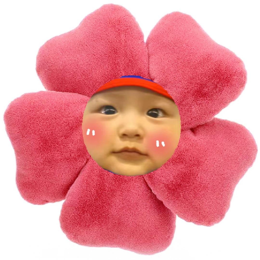 泽宝儿