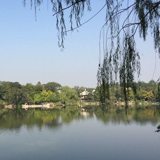 ✨土豆✨