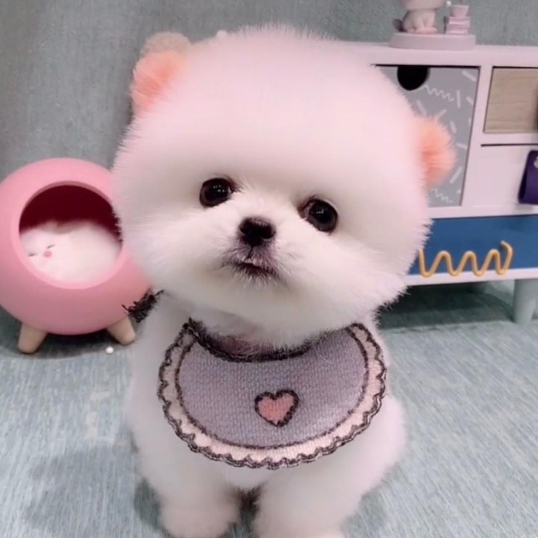 小小云朵