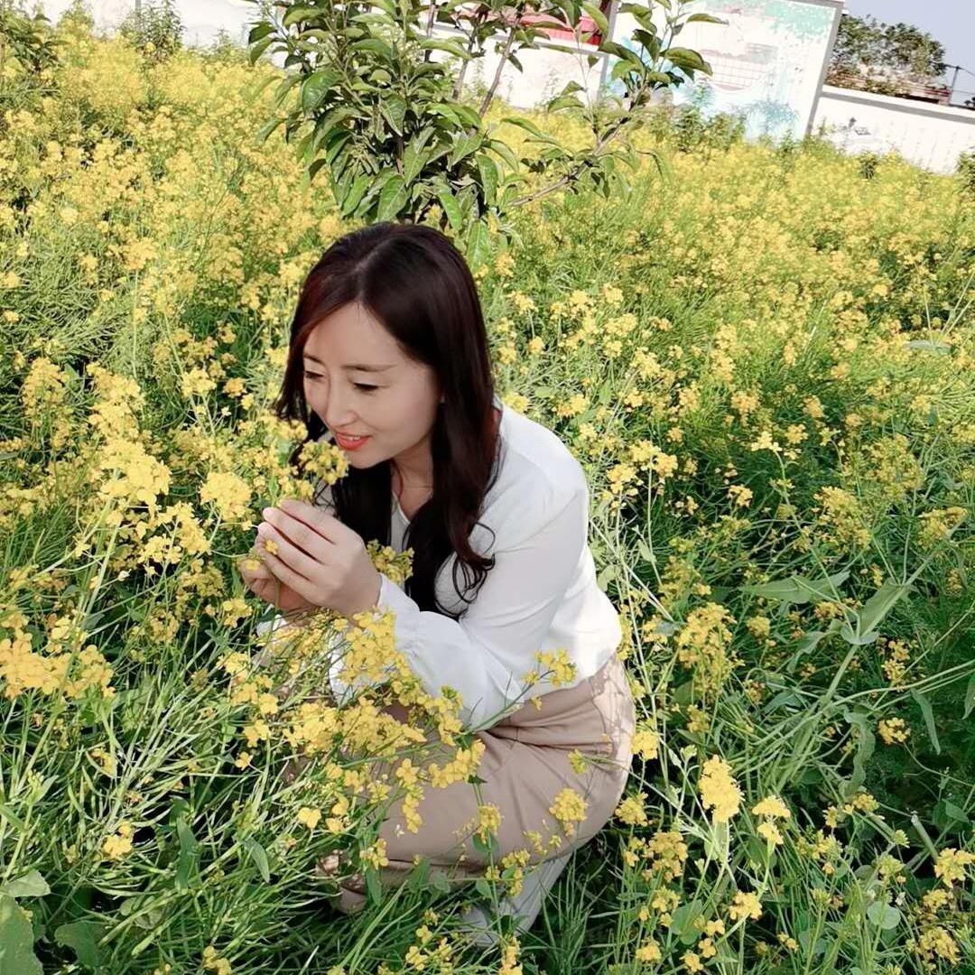任我随心