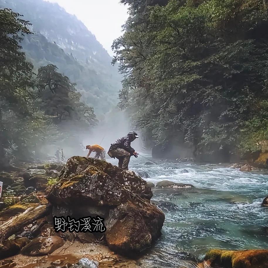 晓溪【野钓溪流】