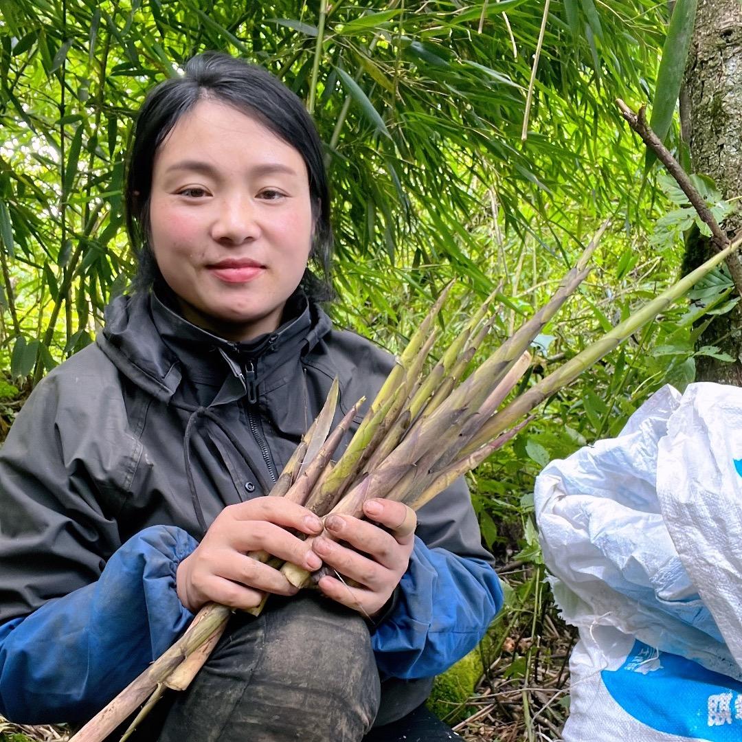 大山里的阿丽