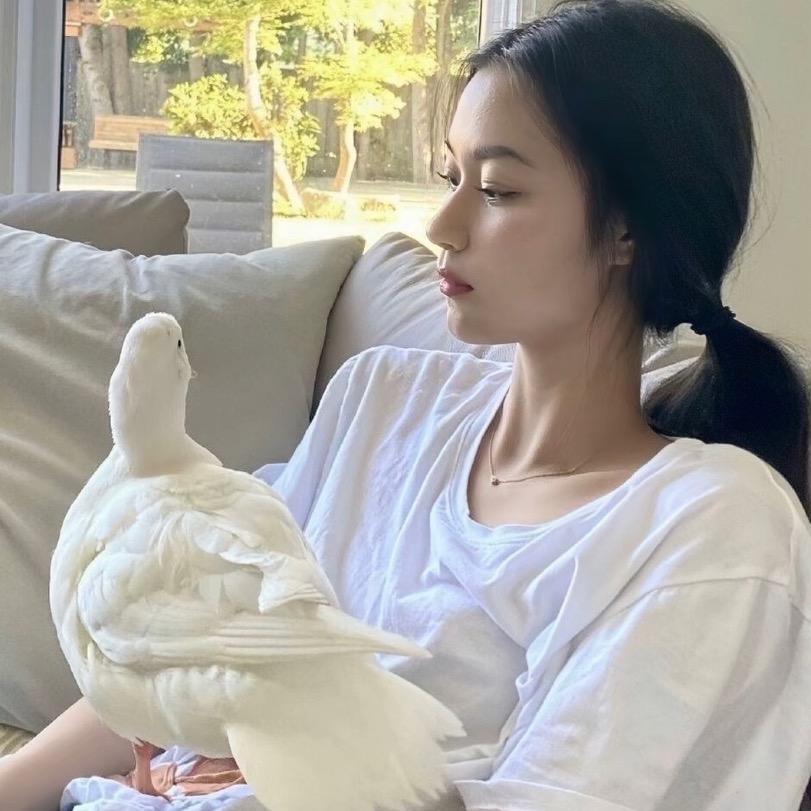 是赢赢吖.·🧚🏻‍♂️