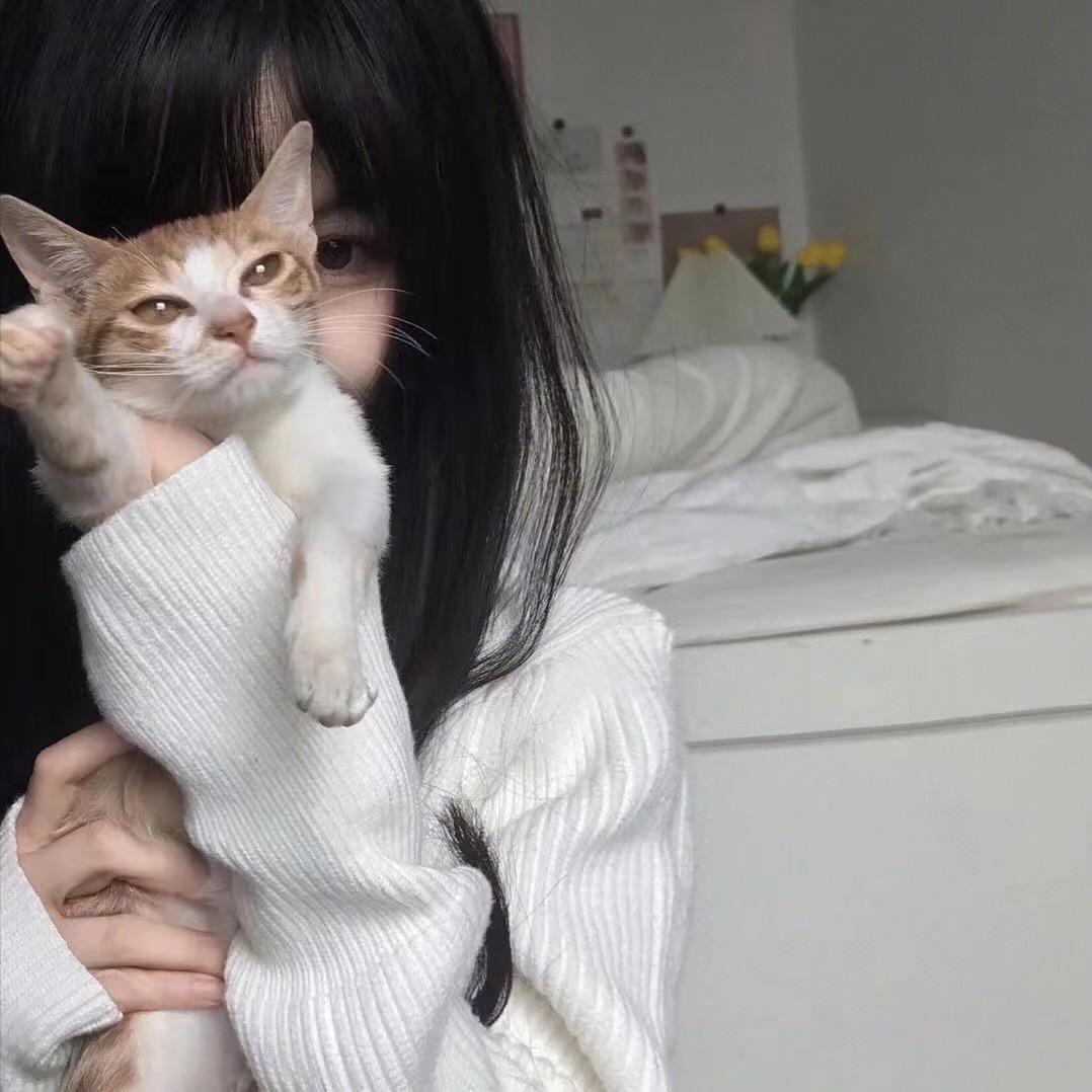 叮当猫的百宝铺