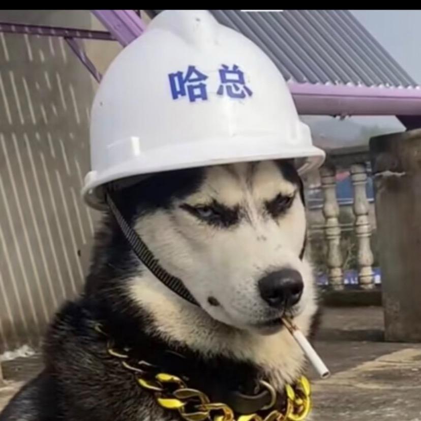 哈哈总