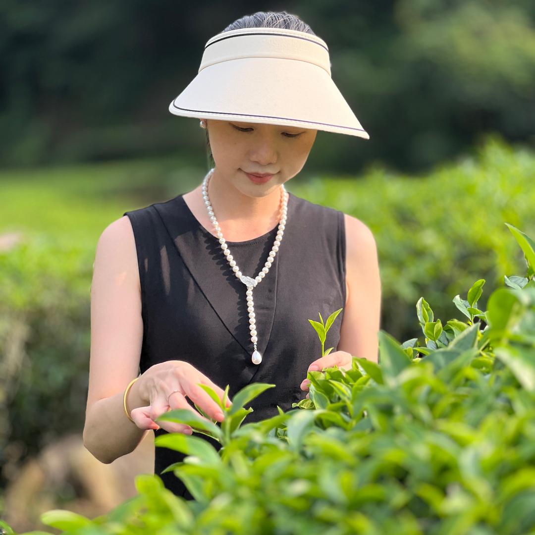 岭头单丛🍃