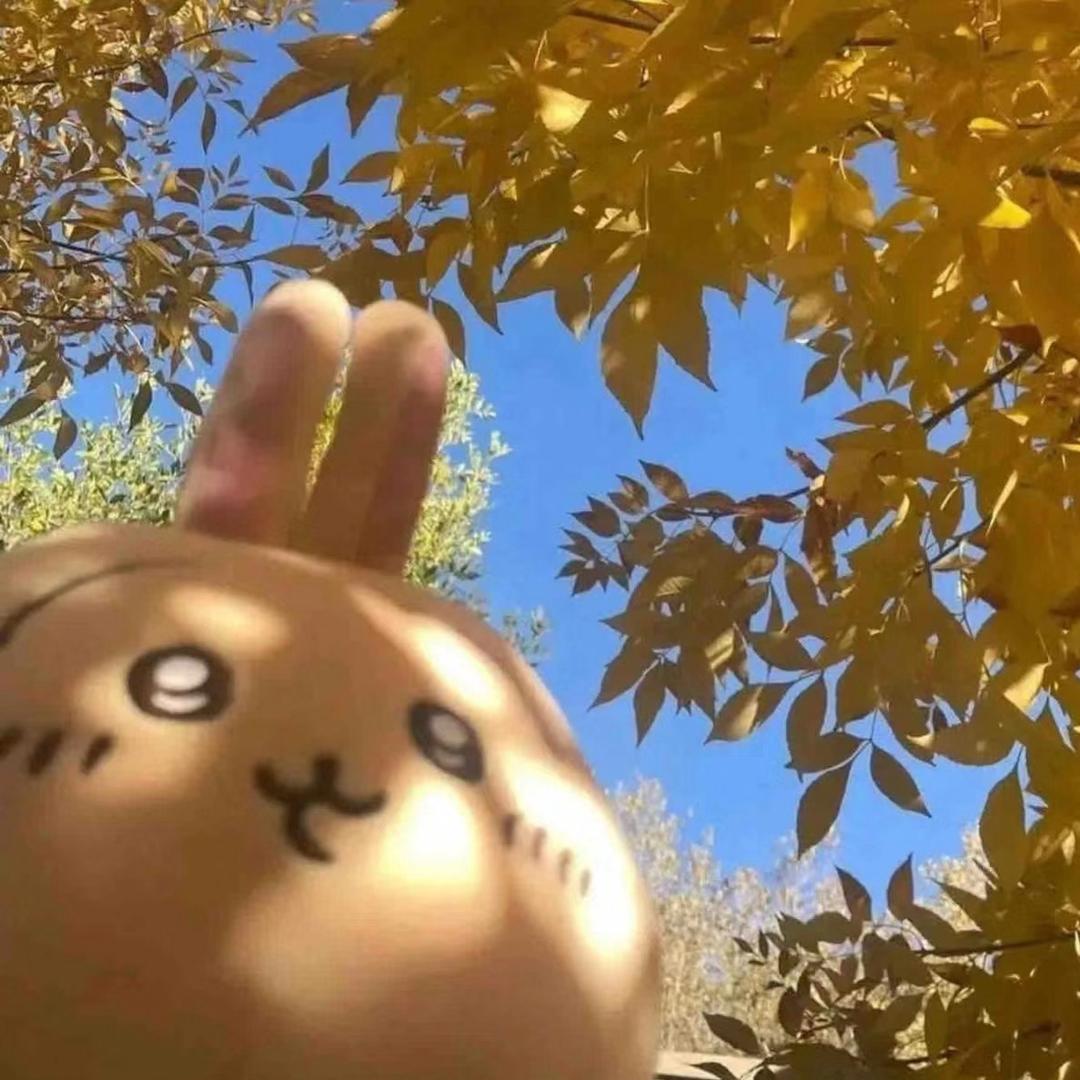 四兔Ceto