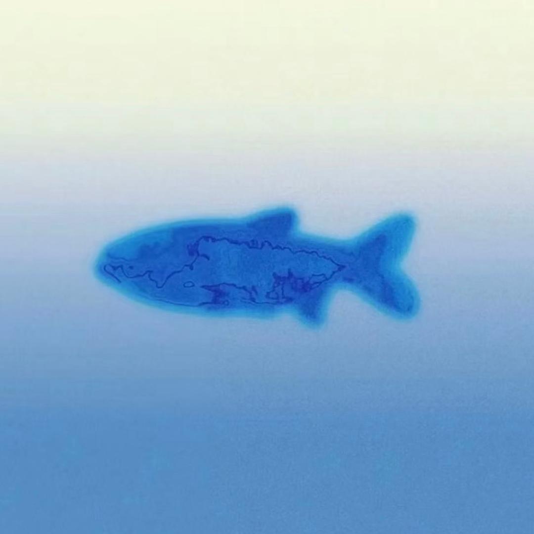 剪刀石头豆豆豆