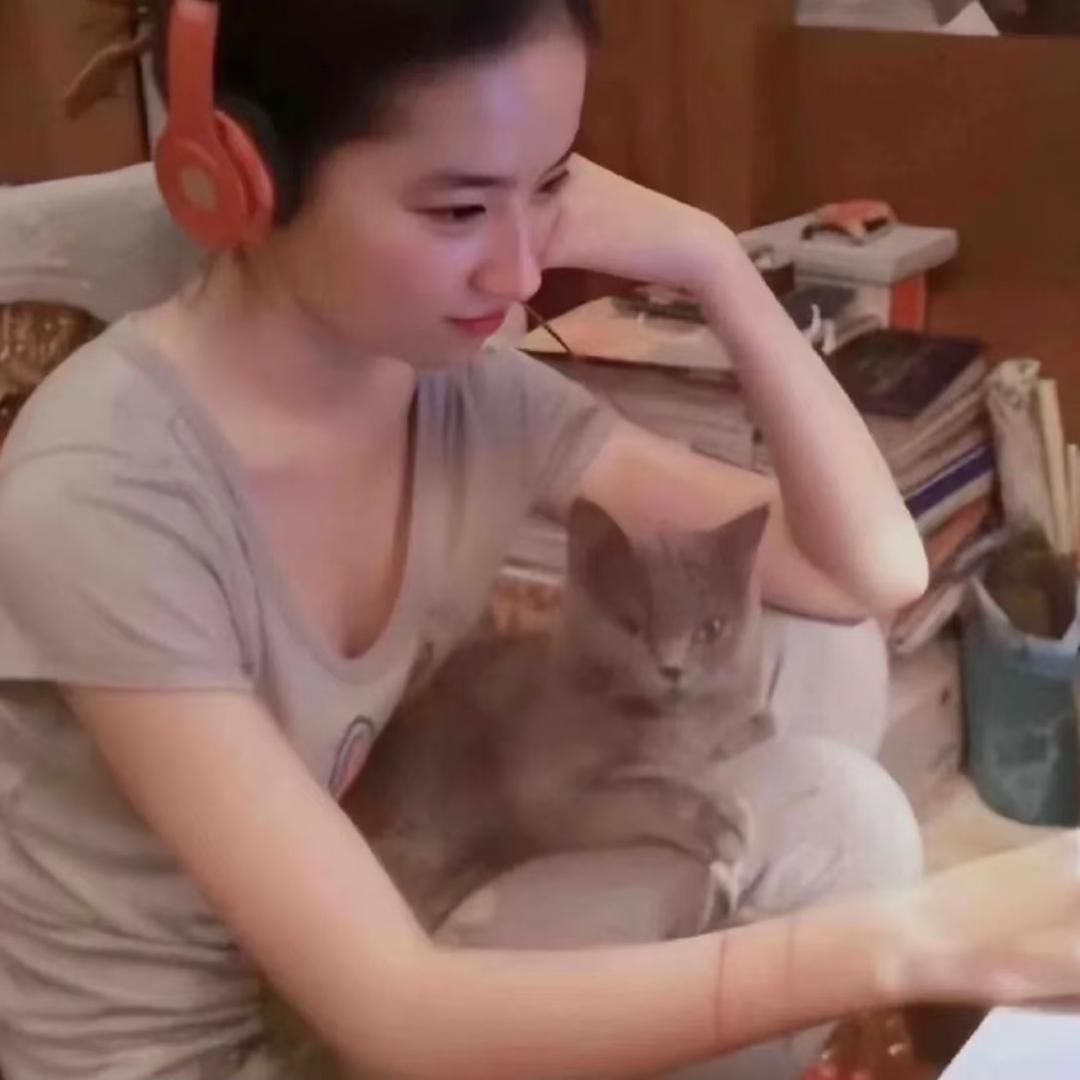 尖叫🙀