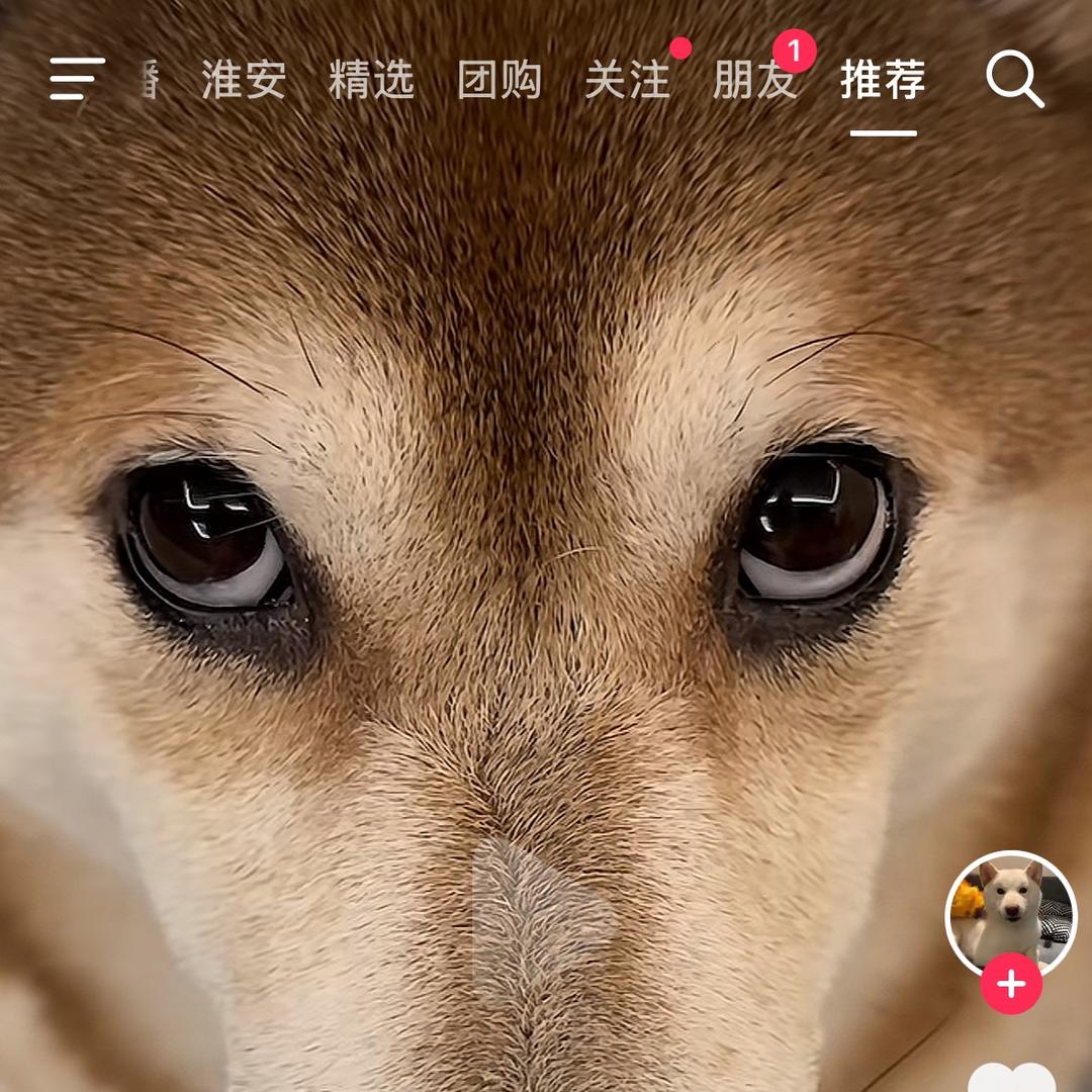 仙女姐姐呀🥰🥰🥰🥰