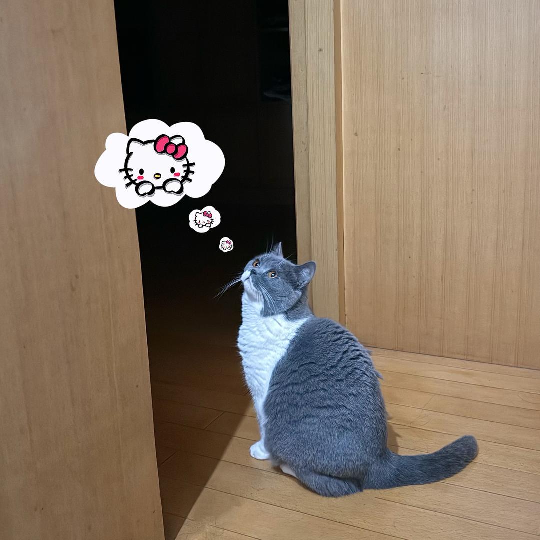 身高160，体重160