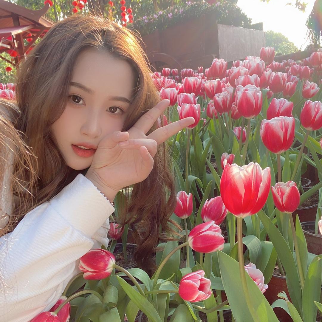 宝藏KK