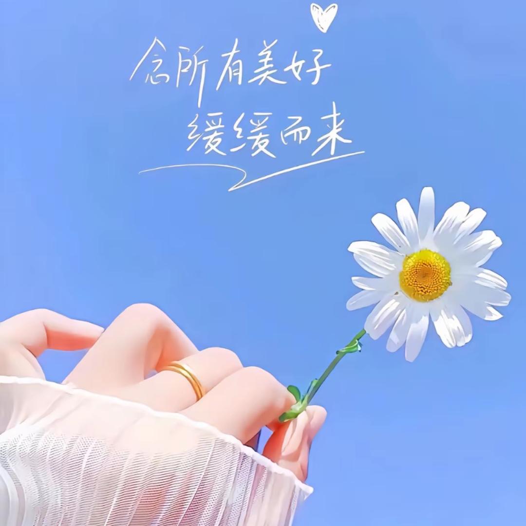 忆梦