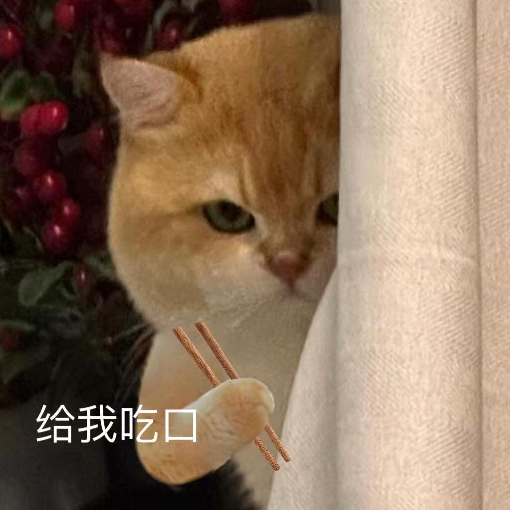 米鹿老师消操课堂