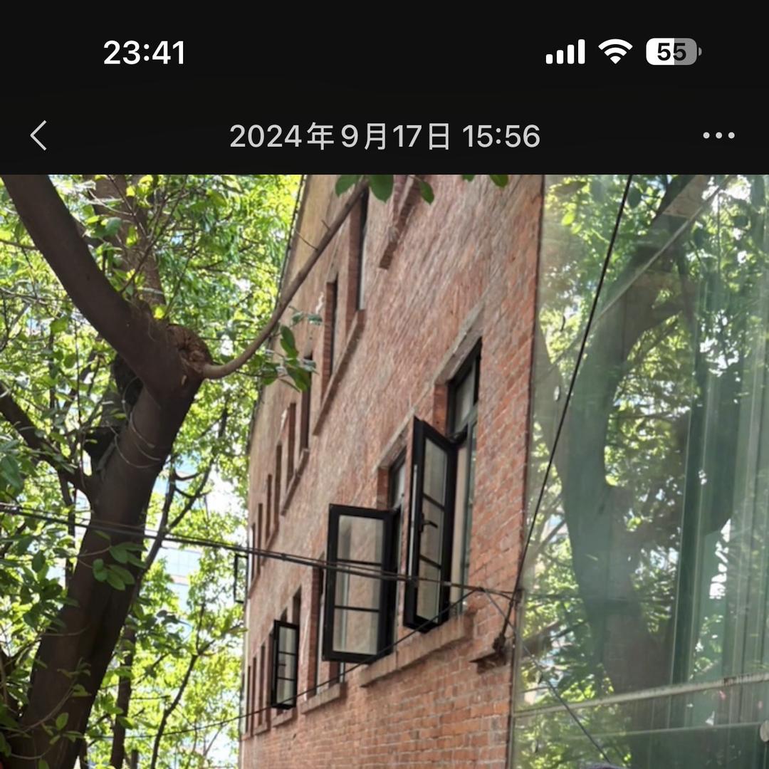 梅子甄选好物