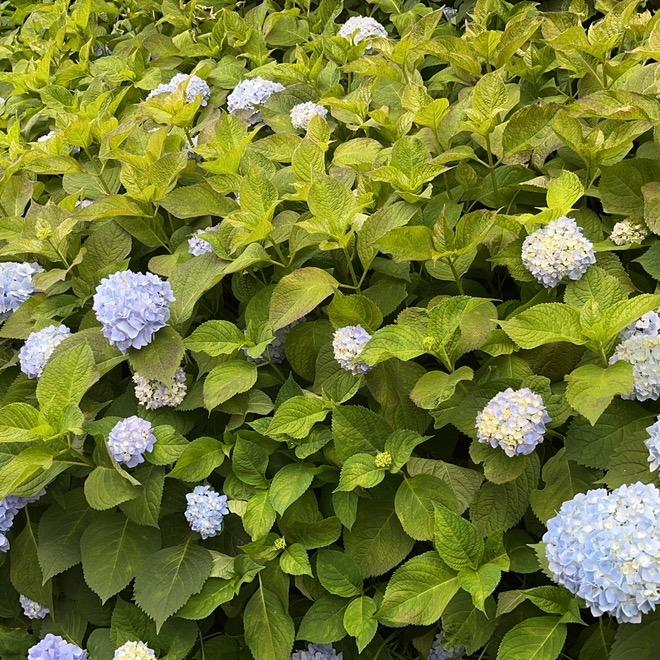 哒哒哒哒哒哒哒哒哒哒哒哒哒哒哒哒哒哒哒哒