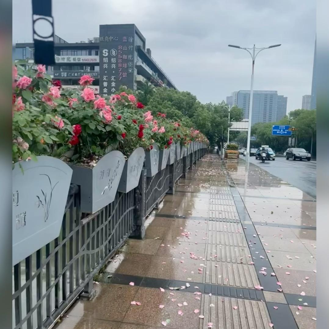 晚风拂过
