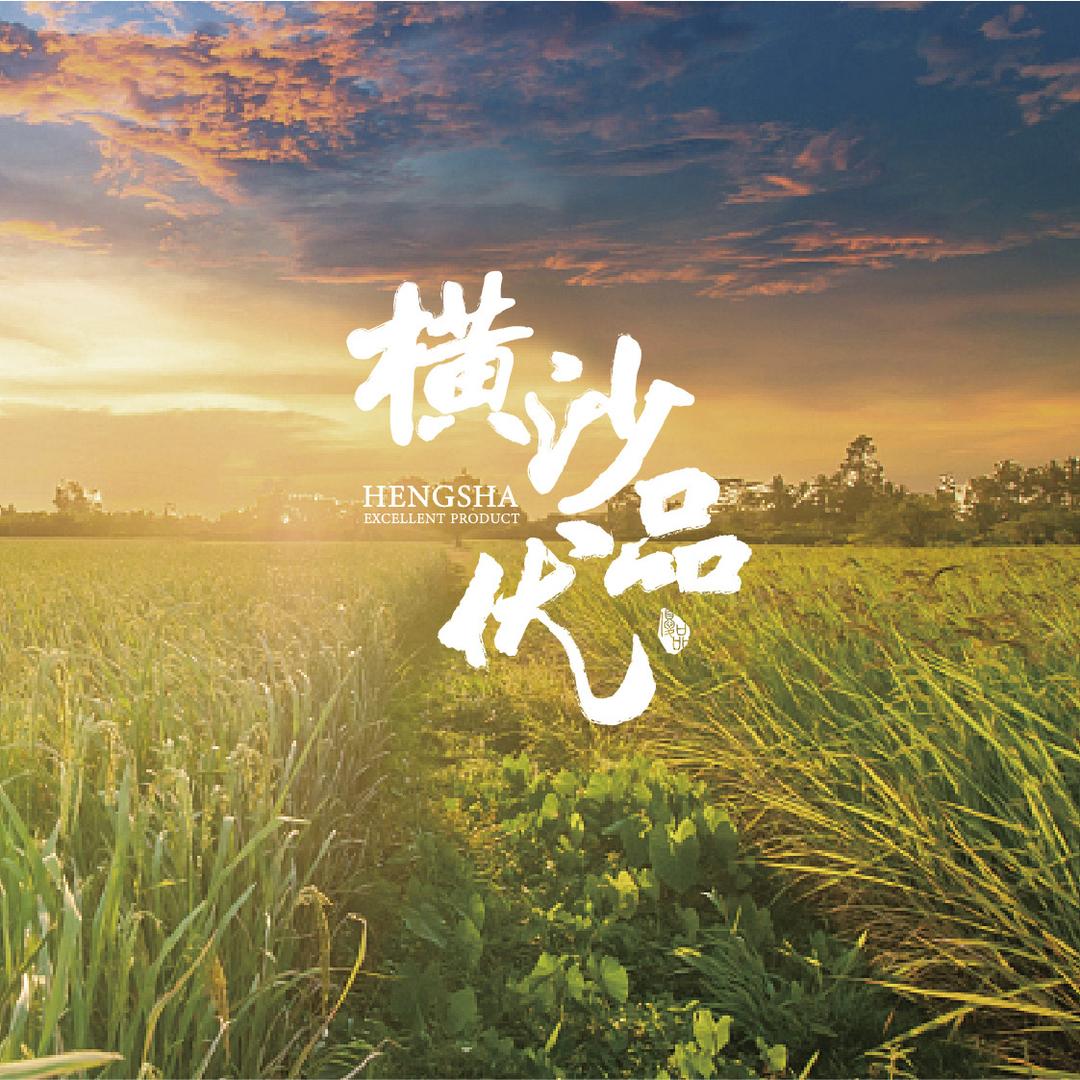 横沙优品