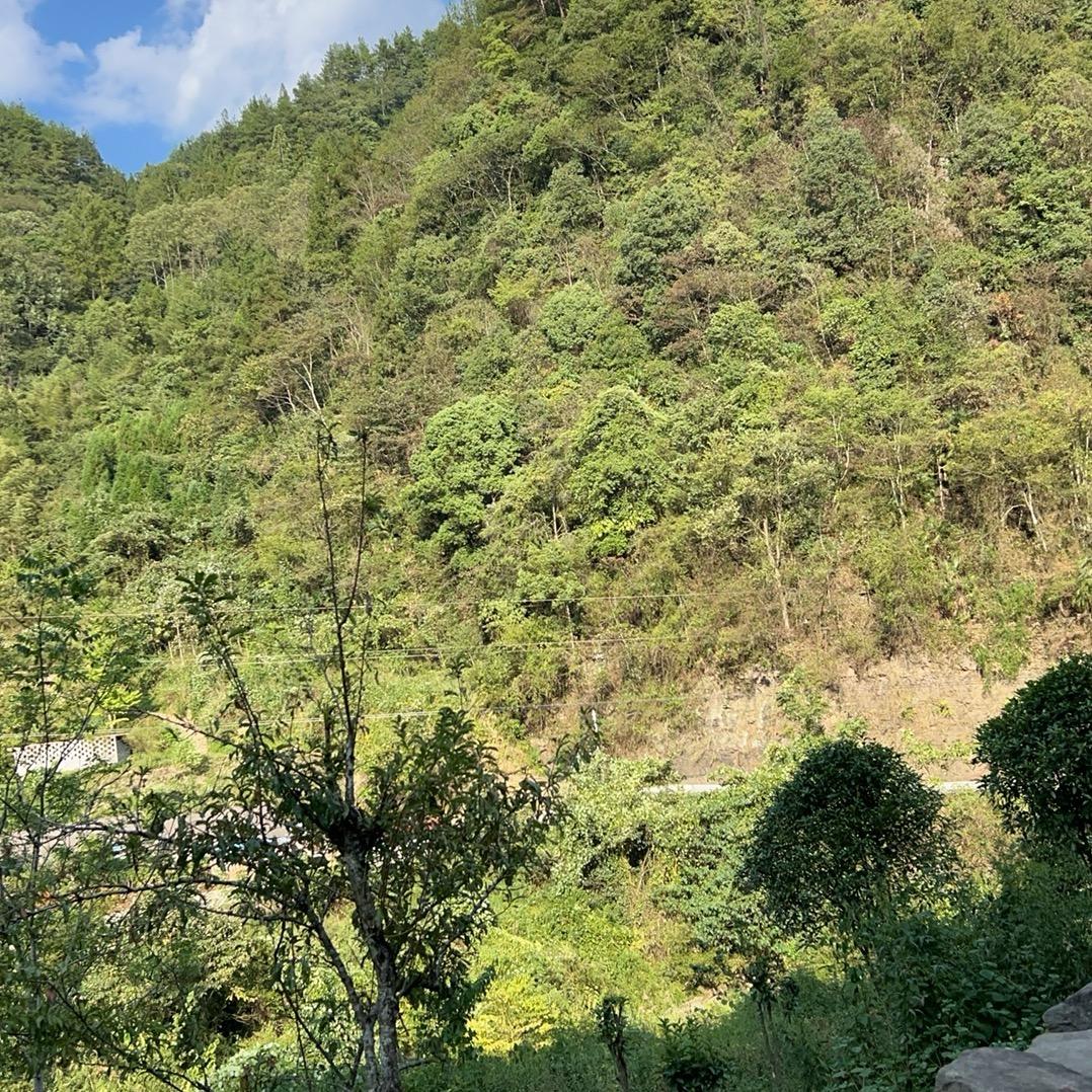 天际出囗有限公司