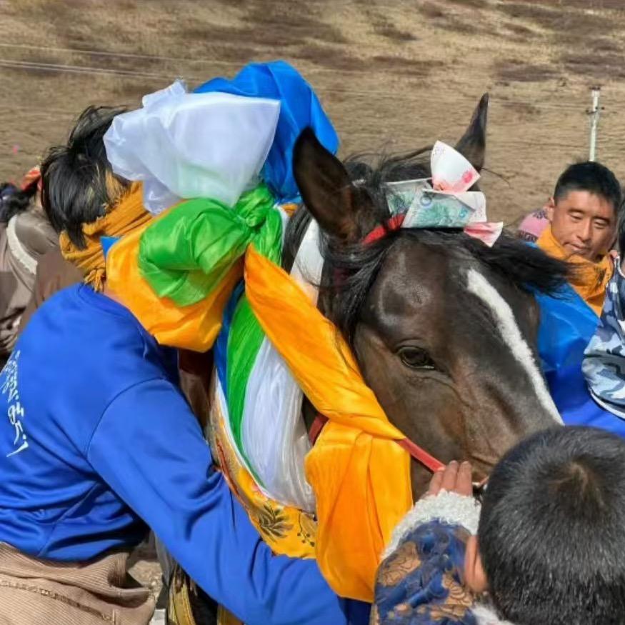 🐎德青多吉 x 🚬