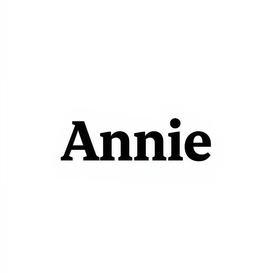 Annie童装买手2店