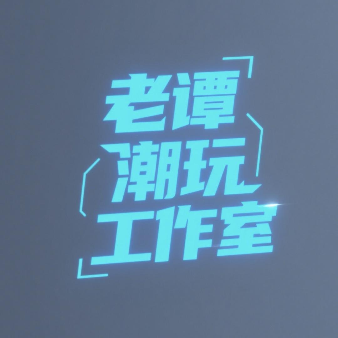 老谭潮玩工作室