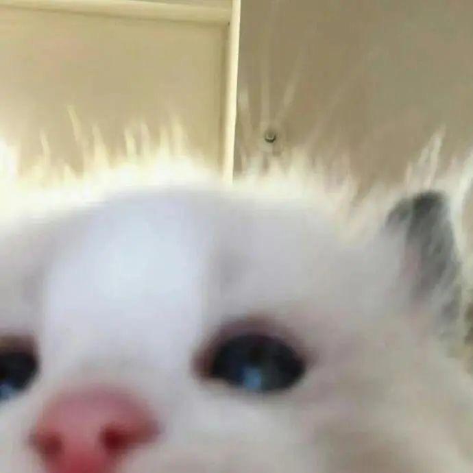𝓥𝓲𝓳𝓲𝓮