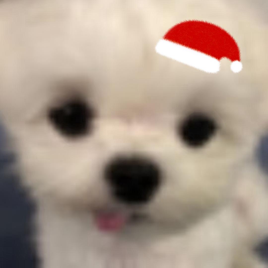 维尼