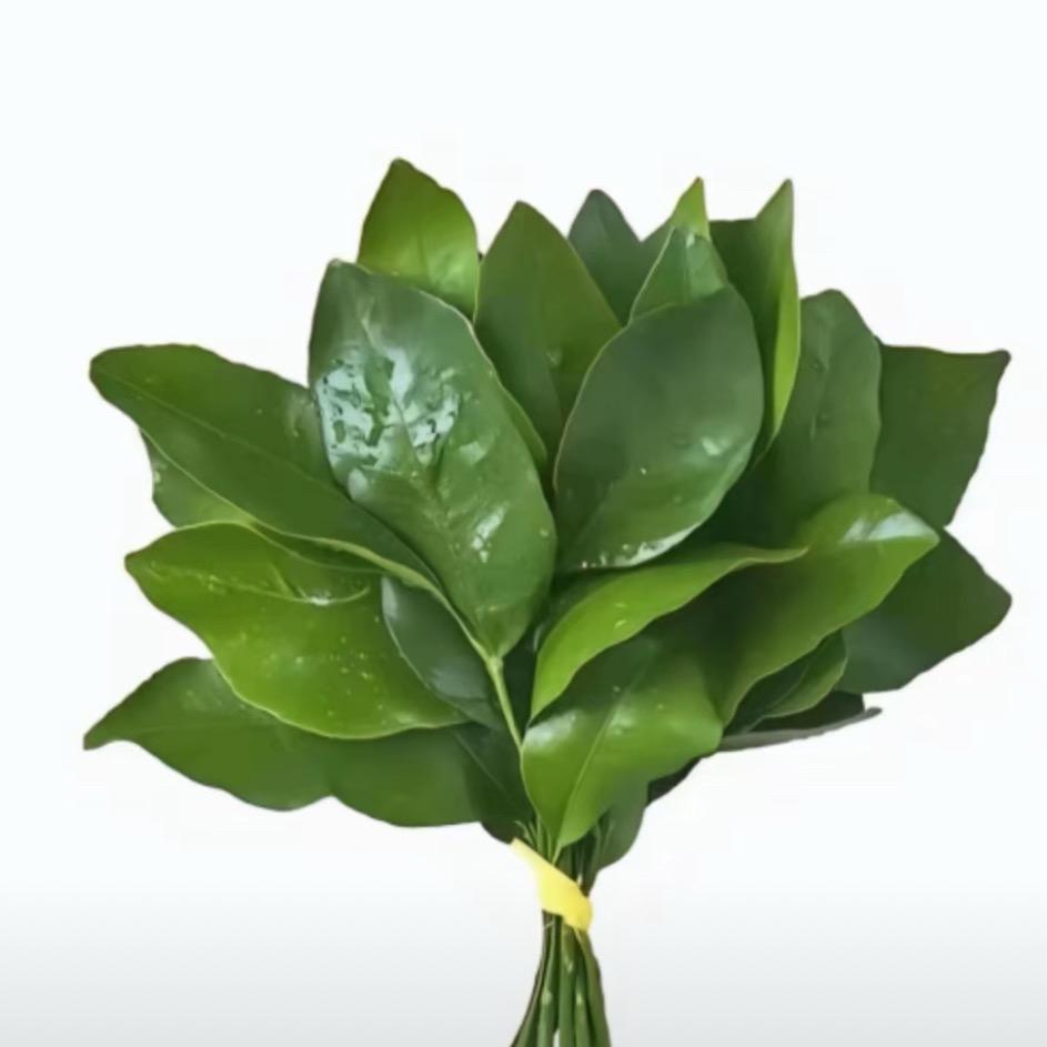 那你现在分左右