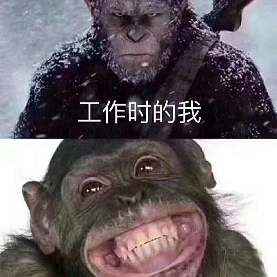 超爱丛林肉搏