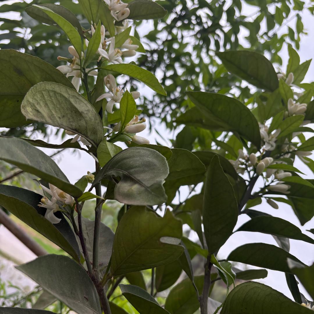 将心比心＿“拒绝连赞”