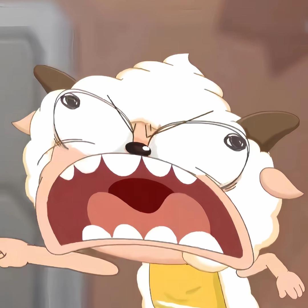 o5