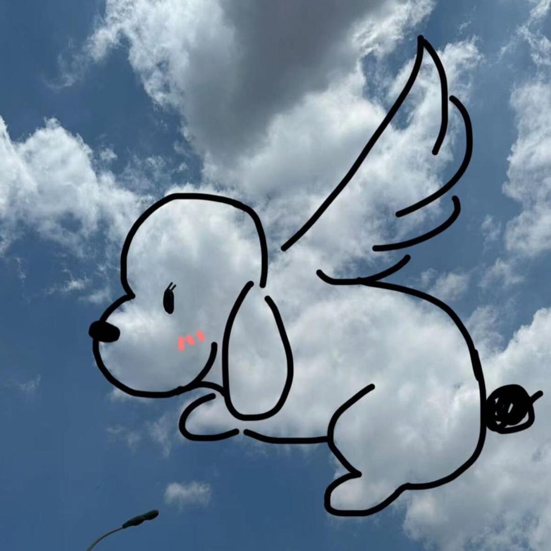 九洲装饰 李星阳