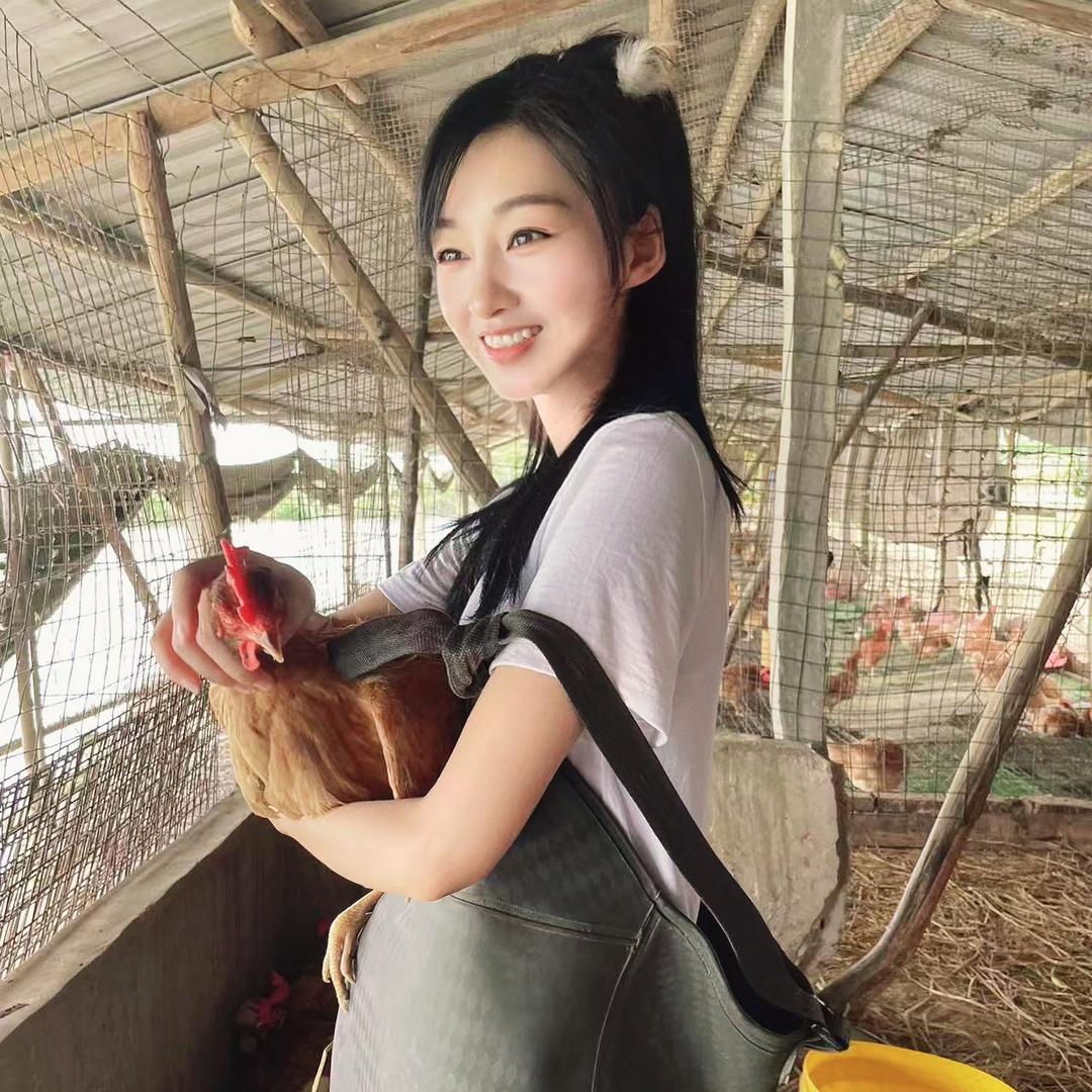 依依